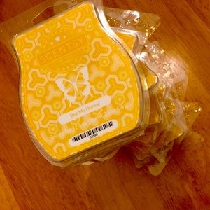 Scentsy wax lot of 7